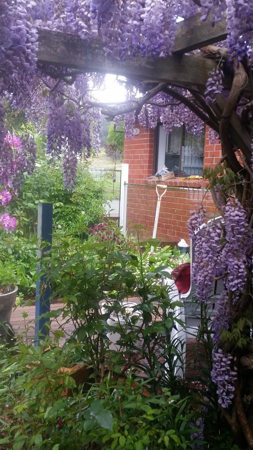 مبيت وإفطار Cradoc Birch Lane المظهر الخارجي الصورة